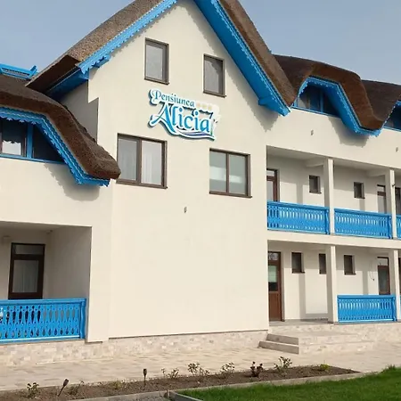 Pensiunea Alicia