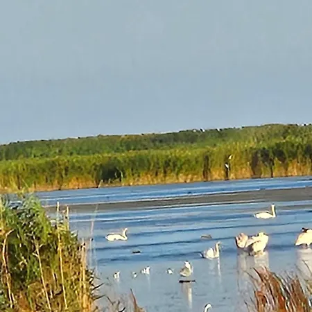 Konukevi Pensiunea Alicia