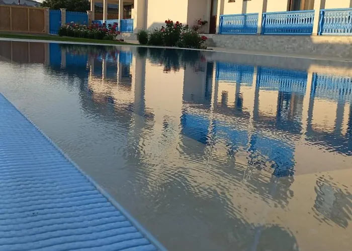 Pensiunea Alicia 茹里洛夫卡