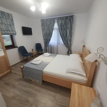 Pensiunea Alicia Guest house