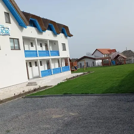 Pensiunea Alicia Affittacamere 3*