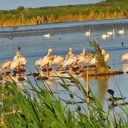 Pensiunea Alicia جوريلوفكا