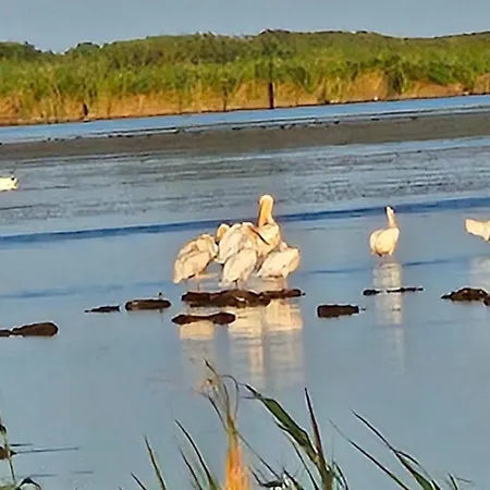 Pensiunea Alicia Affittacamere